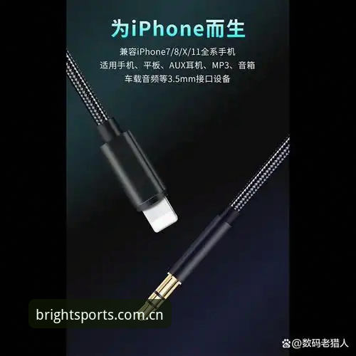BSports官网入口哪个好？最新版本v2.1.0技术评测与用户体验深度解析