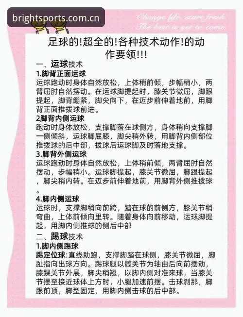 BSports体育使用教程——从入门到精通的操作指南